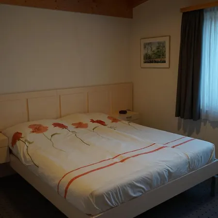 Hasli Glueck Daire Meiringen