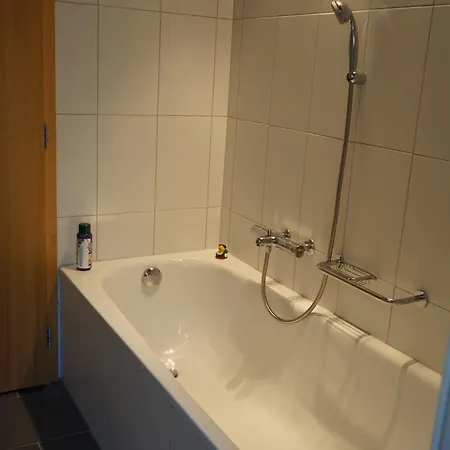 Apartment Hasli Glueck *