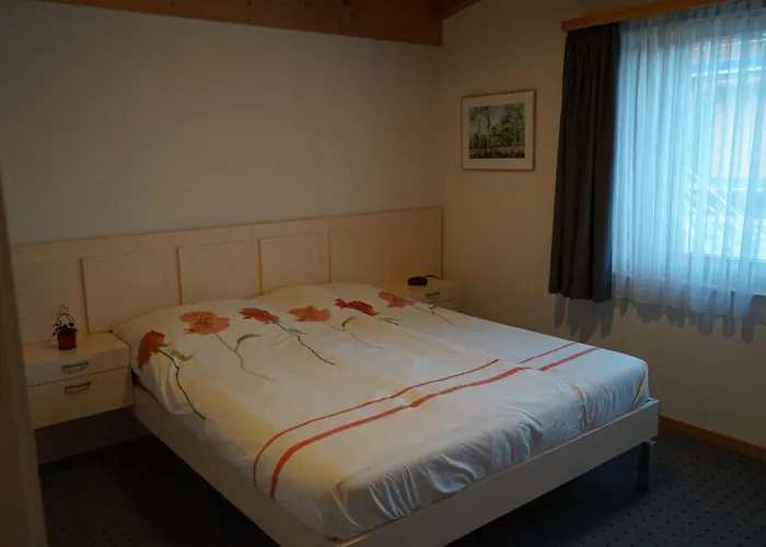 Hasli Glueck 公寓 迈林根