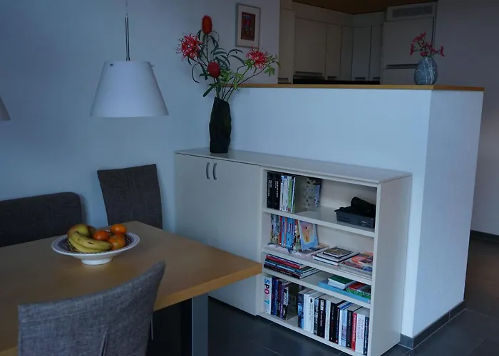 Hasli Glueck 公寓 迈林根